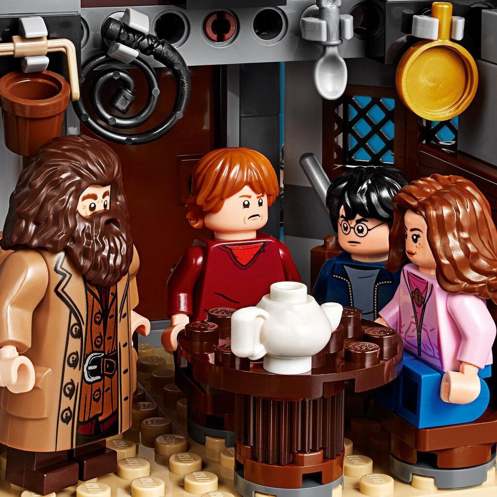 75947 LEGO® Harry Potter Švītknābja glābšana цена и информация | Konstruktori | 220.lv