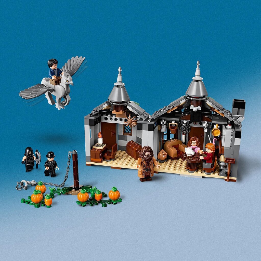 75947 LEGO® Harry Potter Švītknābja glābšana cena un informācija | Konstruktori | 220.lv