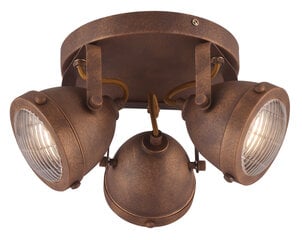 Candellux потолочный светильник Frodo цена и информация | Потолочные светильники | 220.lv