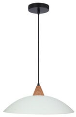 Candellux подвесной светильник Otriks цена и информация | Настенный/подвесной светильник Eye Spot 11 BL, чёрный | 220.lv