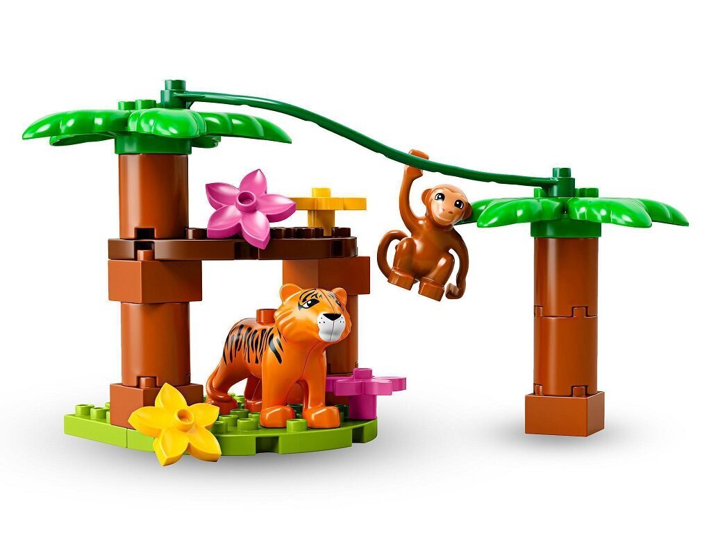 10906 LEGO® DUPLO Tropu sala цена и информация | Konstruktori | 220.lv