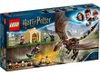 75946 LEGO® Harry Potter Ungārijas Ragastis tejburvju uzdevums cena un informācija | Konstruktori | 220.lv