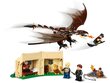 75946 LEGO® Harry Potter Ungārijas Ragastis tejburvju uzdevums cena un informācija | Konstruktori | 220.lv