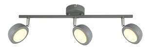 Candellux потолочный светильник Mild цена и информация | Потолочные светильники | 220.lv