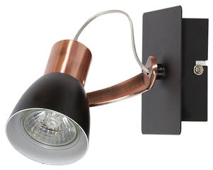 Candellux sienas lampa Markus цена и информация | Настенные светильники | 220.lv