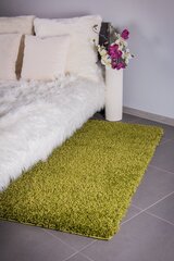 Paklājs Shaggy Green, 120 x 170 cm cena un informācija | Paklāji | 220.lv