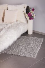 Paklājs Shaggy Light Grey, 120 x 170 cm цена и информация | Ковры | 220.lv