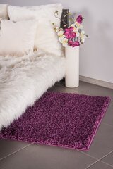 Paklājs Shaggy Violet, 100 x 200 cm cena un informācija | Paklāji | 220.lv