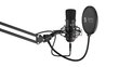 Mikrofons SPC Gear SM900 Streaming cena un informācija | Mikrofoni | 220.lv