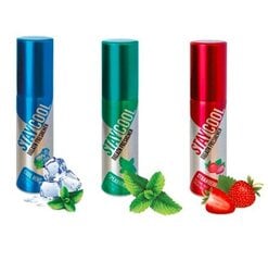 Mutes atsvaidzinātājs Stay Cool Strawberry 20 ml цена и информация | Зубные щетки, пасты | 220.lv