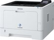 Epson C11CF21401 cena un informācija | Printeri un daudzfunkcionālās ierīces | 220.lv