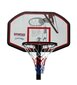 Basketbola grozs ar statīvu Insportline Spartan Chicago cena un informācija | Basketbola statīvi | 220.lv