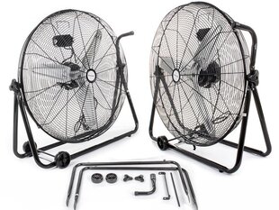 Grīdas ventilators Ravanson WT 60C cena un informācija | Ventilatori | 220.lv