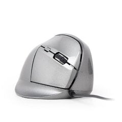 Gembird MUS-ERGO-02 Optical Mouse, Silve цена и информация | Мыши | 220.lv