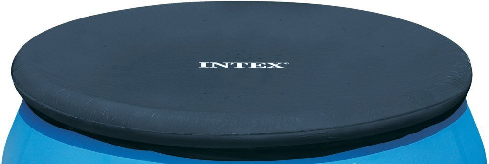 Baseins Intex Easy Set 457x122 cm, ar 12V filtru цена и информация | Baseini | 220.lv