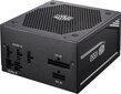 Cooler Master V550 Gold Semi-Fanless цена и информация | Barošanas bloki (PSU) | 220.lv