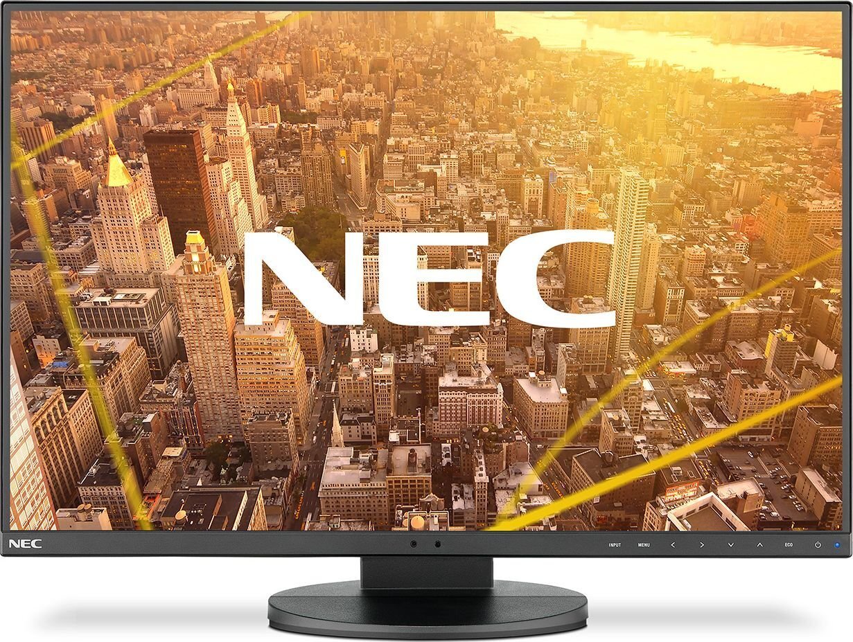 NEC 60004781 cena un informācija | Monitori | 220.lv