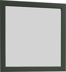 Spogulis Prowansja LS2, zaļš cena un informācija | Priekšnama spoguļi | 220.lv