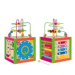 Эрготерапевтический куб лабиринт Woody, 90837 цена и информация | Игрушки для малышей | 220.lv