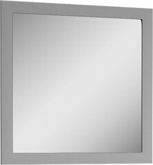 Spogulis Prowansja LS2, pelēks cena un informācija | Priekšnama spoguļi | 220.lv