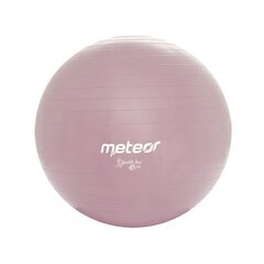 Vingrošanas bumba Meteor, 45 cm (ar pumpi) цена и информация | Гимнастические мячи | 220.lv