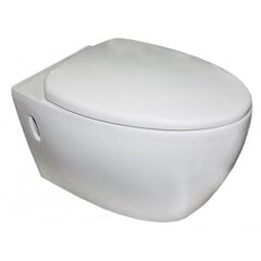 Piekaramās tualetes komplekts 3404 + rāmis WC009A + poga 097M matēts cena un informācija | Tualetes podi | 220.lv