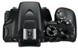 Nikon D3500 SLR + AF-P DX 18-55 VR цена и информация | Digitālās fotokameras | 220.lv