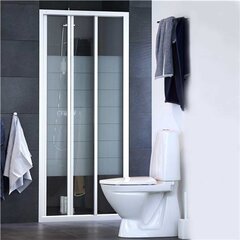 Dušas durvis Ifö Solid SVS VS 17, 170cm cena un informācija | Dušas durvis, dušas sienas | 220.lv