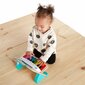 Koka klavieres Baby Einstein, 800802 cena un informācija | Rotaļlietas zīdaiņiem | 220.lv