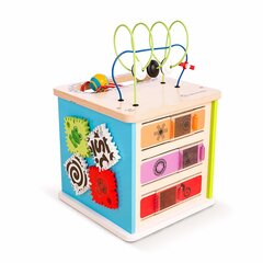 Деревянный развивающий куб Hape, 800808 цена и информация | Игрушки для малышей | 220.lv