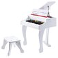 Rotaļu klavieres Deluxe Grand Hape, E0338A цена и информация | Attīstošās rotaļlietas | 220.lv