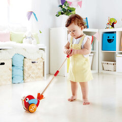 Stumjamā rotaļlieta Hape, E0353A cena un informācija | Hape Rotaļlietas, bērnu preces | 220.lv