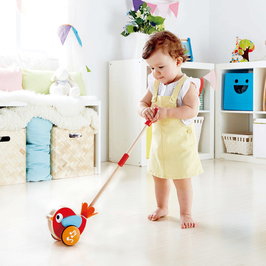 Stumjamā rotaļlieta Hape, E0353A cena un informācija | Rotaļlietas zīdaiņiem | 220.lv
