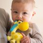 Pīkstoša graužamā rotaļlieta Playgo, 0186970 цена и информация | Rotaļlietas zīdaiņiem | 220.lv