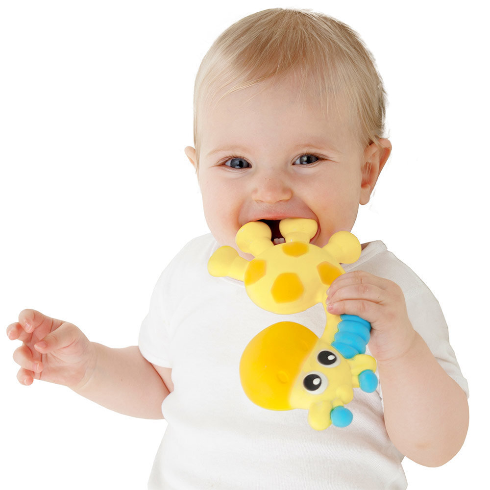 Pīkstoša graužamā rotaļlieta Playgo, 0186970 cena un informācija | Rotaļlietas zīdaiņiem | 220.lv