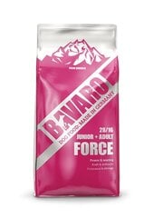 Bavaro Force 28/16 корм для активных собак, 18 кг цена и информация | Сухой корм для собак | 220.lv