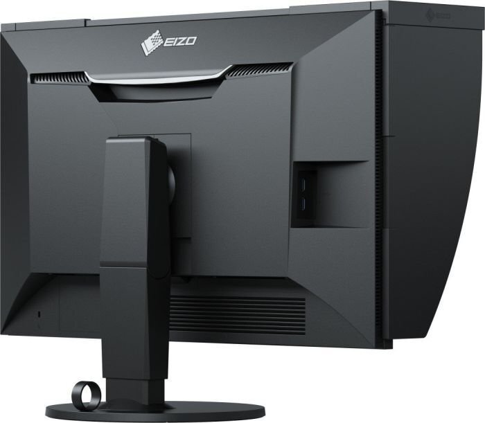 Eizo CG319X cena un informācija | Monitori | 220.lv