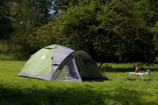 Палатка Coleman Darwin 3 Plus цена и информация | Палатки | 220.lv