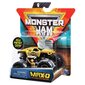 Džips Monster Jam 1:64, viens iepakojums, 6044941 цена и информация | Rotaļlietas zēniem | 220.lv