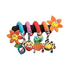 Rotaļlieta ratiem Brīnišķīgais dārzs Playgro, 0111885 цена и информация | Игрушки для малышей | 220.lv