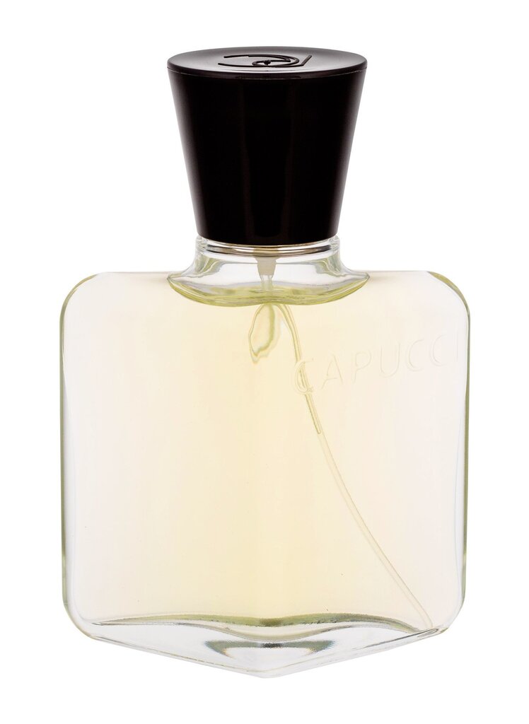 Parfimēts ūdens Roberto Capucci Pour Homme 100 ml cena un informācija | Vīriešu smaržas | 220.lv