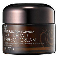 Sejas krēms ar gliemežu ekstraktu Mizon Multifunction Formula Snail Repair Perfect 50 ml cena un informācija | Sejas krēmi | 220.lv