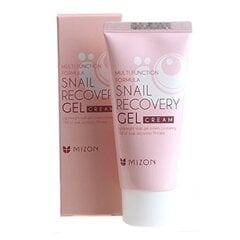 Gēla veida sejas krēms ar gliemežu ekstraktu Mizon Snail Recovery Gel 45ml cena un informācija | Sejas krēmi | 220.lv