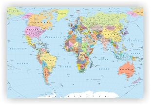 Korķa materiāla attēls - Pasaules karte. Detalizēta. [Korķa materiāla karte], 70x50 cm. цена и информация | Картины | 220.lv