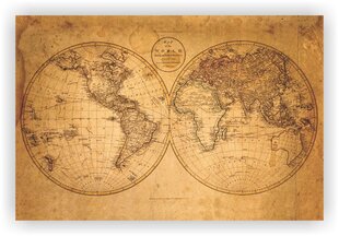 Korķa materiāla attēls - Senā pasaule [Korķa materiāla karte], 100x50 cm. cena un informācija | Gleznas | 220.lv