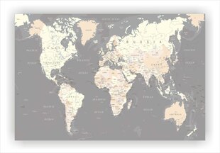 Korķa materiāla attēls - Pasaules karte. Detalizēta. Pelēka. [Korķa materiāla karte], 70x50 cm. cena un informācija | Gleznas | 220.lv