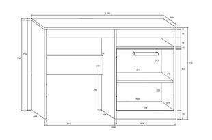 Письменный стол Maximus 1D, темно-дубового/белого цвета цена и информация | Компьютерные, письменные столы | 220.lv