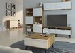 TV galdiņš Meblocross Sven 2D, tumšā ozolkoka/baltā krāsā цена и информация | TV galdiņi | 220.lv