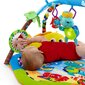 Attīstošais paklājiņš Baby Einstein Rhythm of the Reef Play Gym™ cena un informācija | Attīstošie paklājiņi | 220.lv