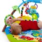 Attīstošais paklājiņš Baby Einstein Rhythm of the Reef Play Gym™ цена и информация | Attīstošie paklājiņi | 220.lv